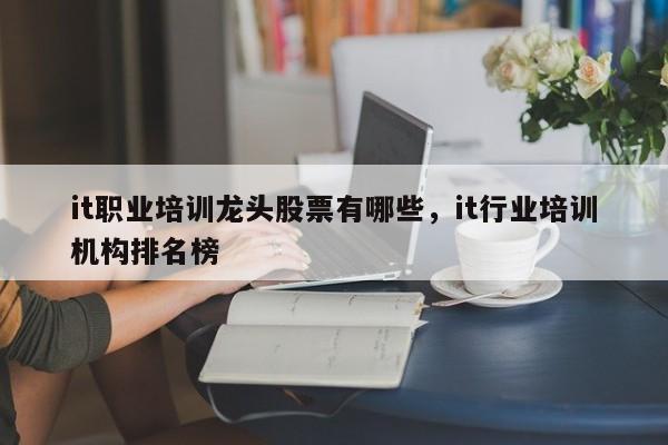 it职业培训龙头股票有哪些，it行业培训机构排名榜