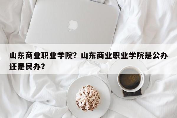 山东商业职业学院？山东商业职业学院是公办还是民办？