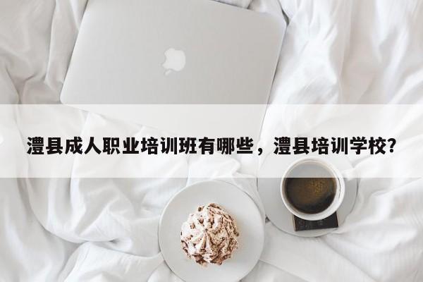 澧县成人职业培训班有哪些，澧县培训学校？