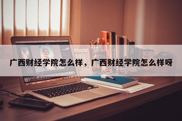 广西财经学院怎么样，广西财经学院怎么样呀