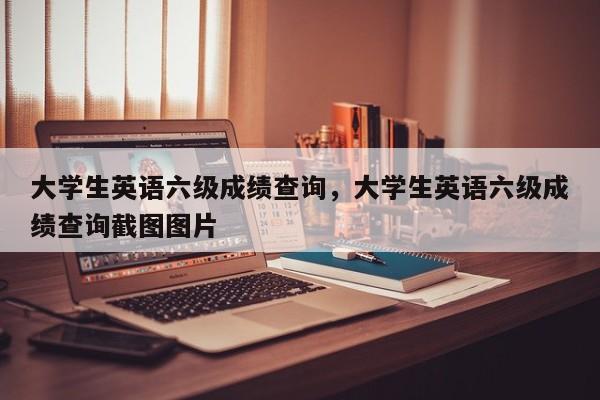 大学生英语六级成绩查询，大学生英语六级成绩查询截图图片