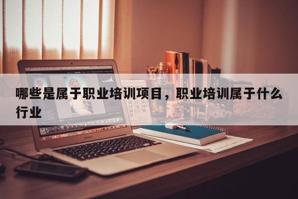 哪些是属于职业培训项目，职业培训属于什么行业