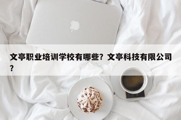 文亭职业培训学校有哪些？文亭科技有限公司？