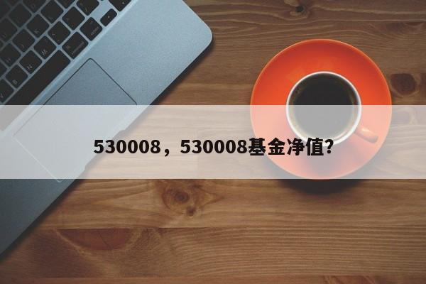 530008，530008基金净值？