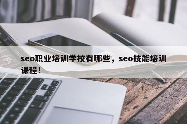 seo职业培训学校有哪些，seo技能培训课程！